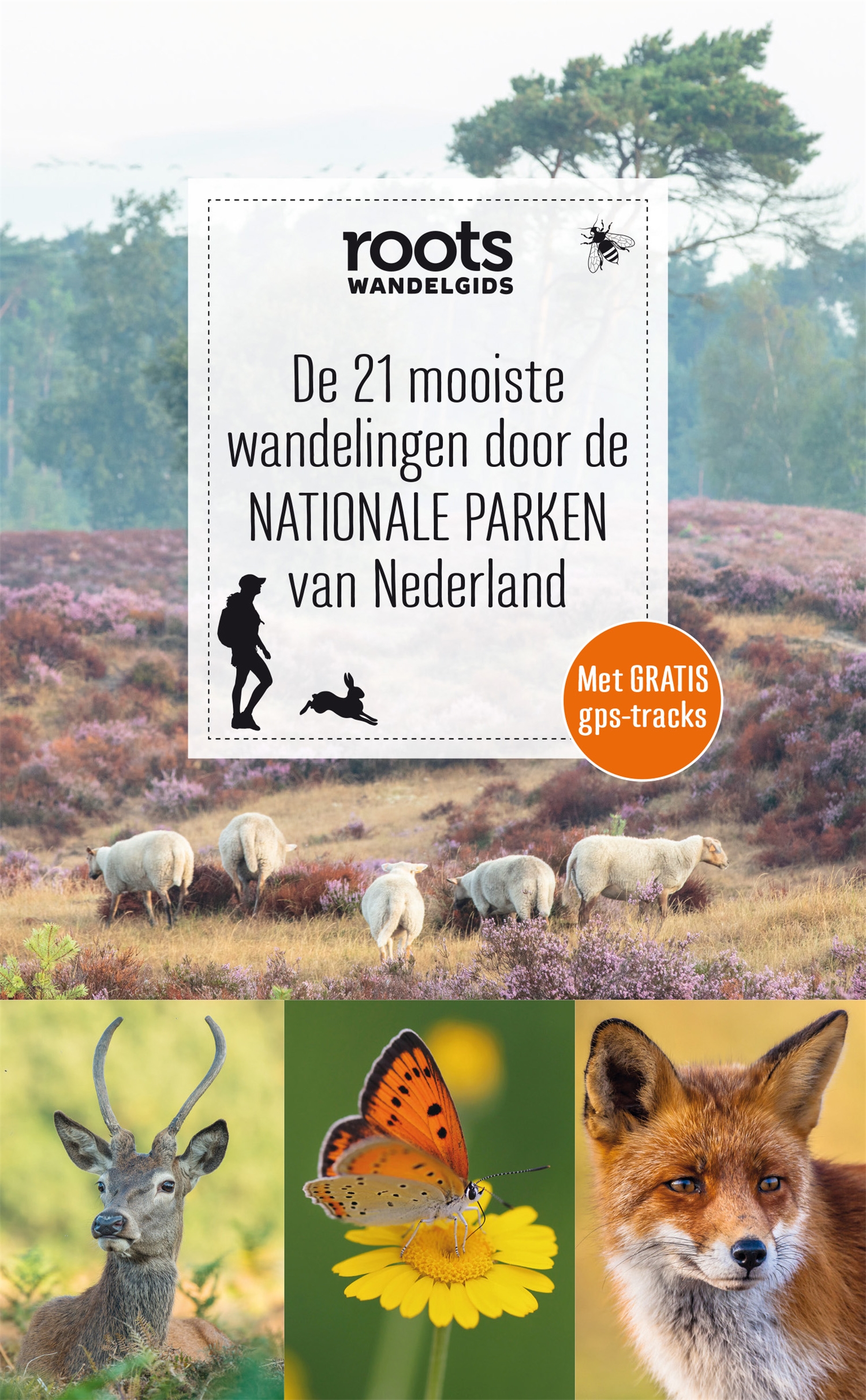 De 21 mooiste wandelingen door de NATIONALE PARKEN van Nederland (ROOTS)